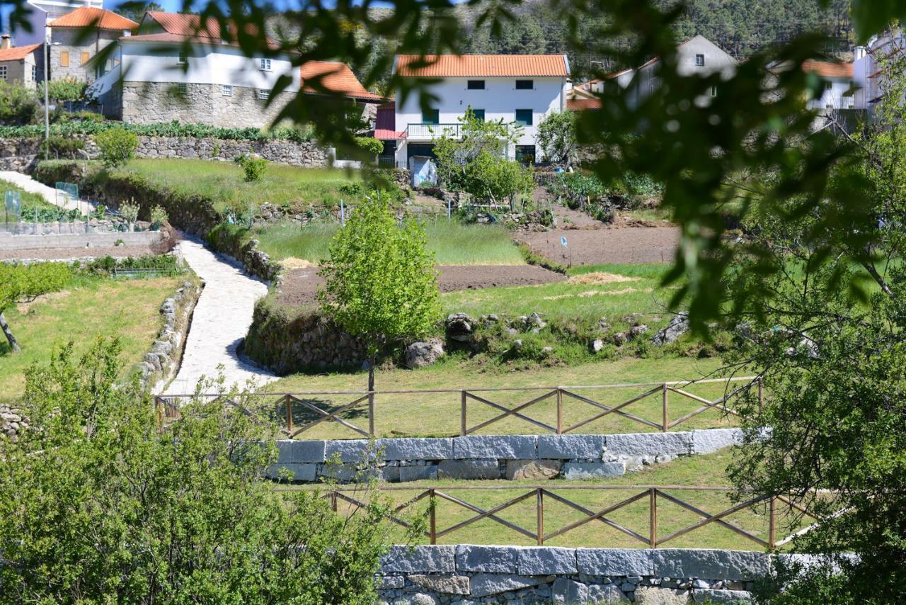 Casa Dos Alcaides Villa Sabugueiro  Exterior photo